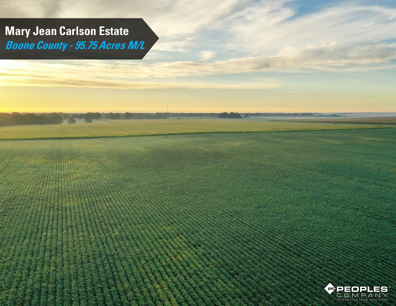 Listing Photo: Boone-County-IA-Land-Auction-95.75-Acres-Ogden-Carlson-Estate (8)